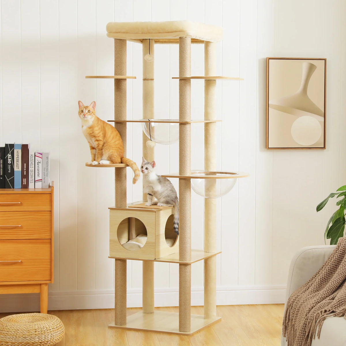 Arbre à Chat Bois XL — Multi-Niveaux | Chêne