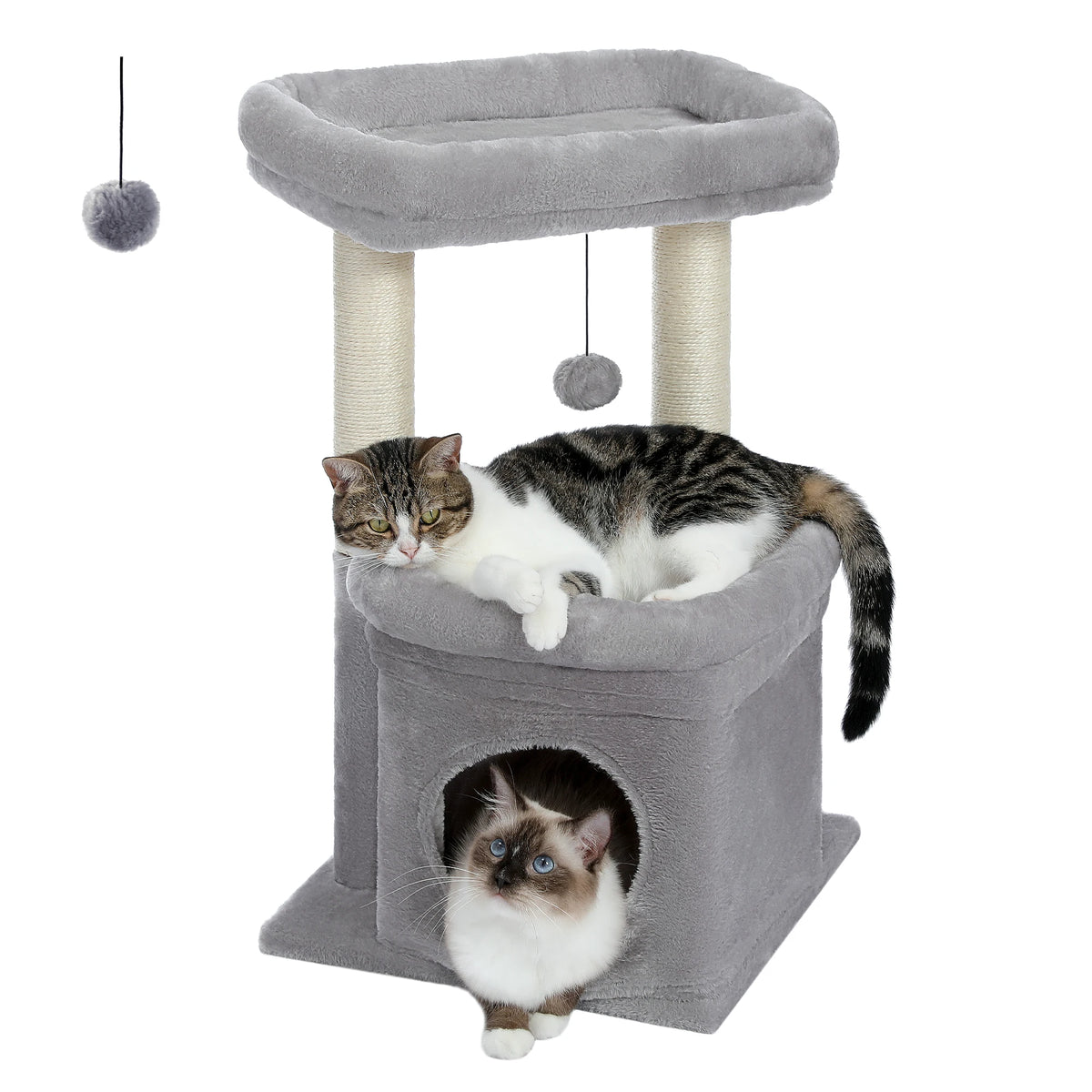 Arbre à Chat Compact 60-72 cm — Niche & Double Perchoir | Petit Coin