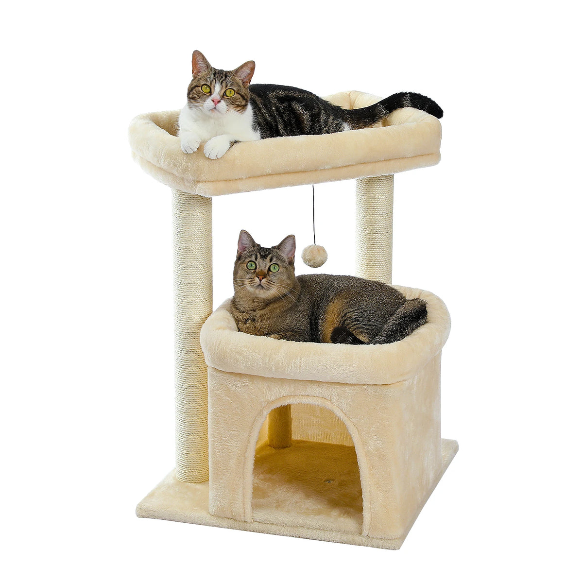 Arbre à Chat Compact 60-72 cm — Niche & Double Perchoir | Petit Coin