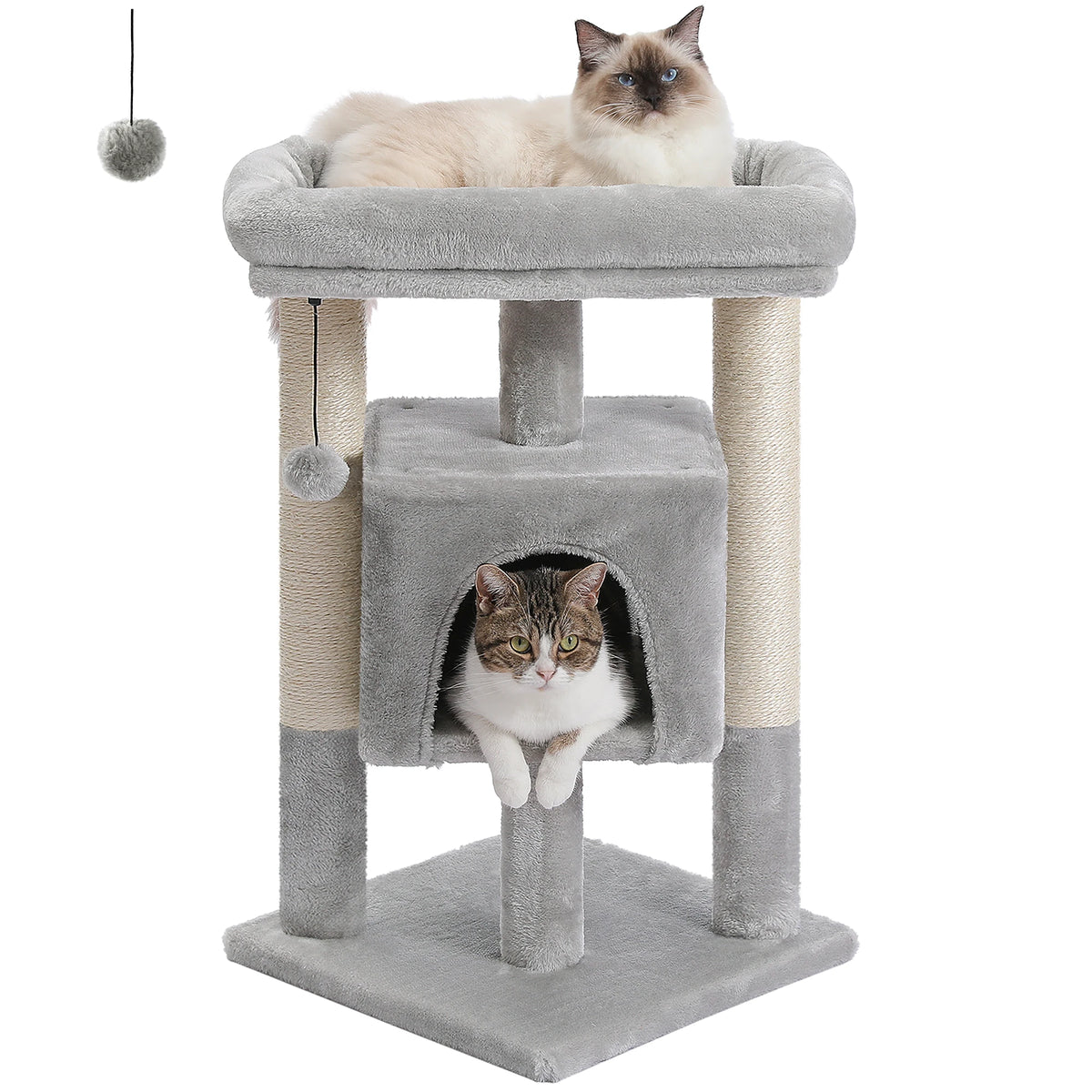 Arbre à Chat Compact 60-72 cm — Niche & Double Perchoir | Petit Coin