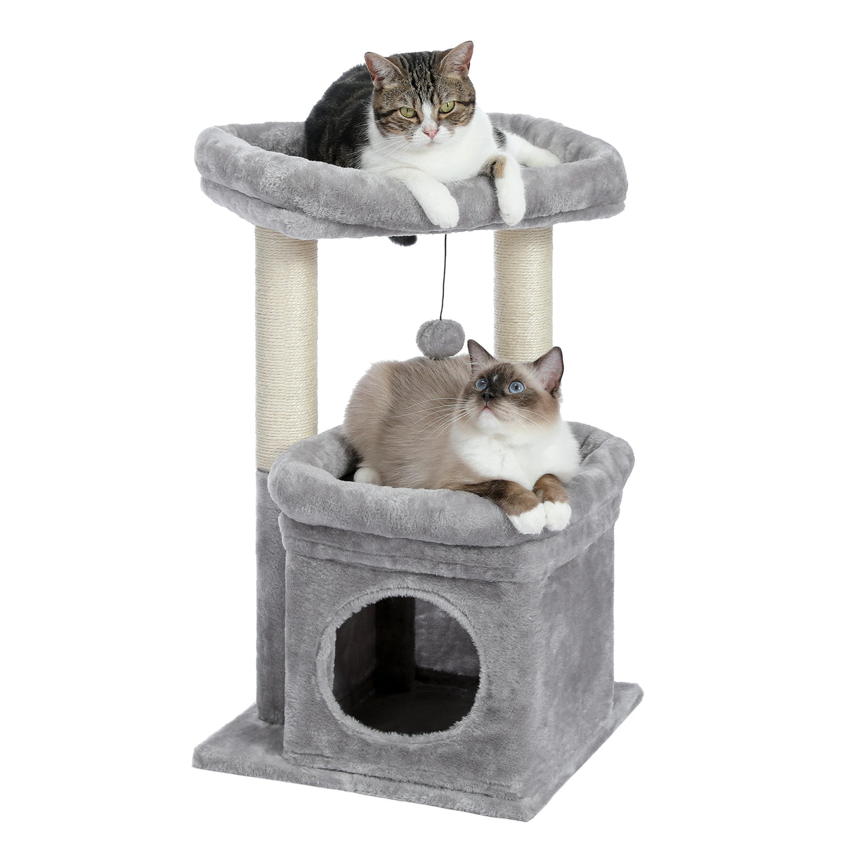 Arbre à Chat Compact 60-72 cm — Niche & Double Perchoir | Petit Coin