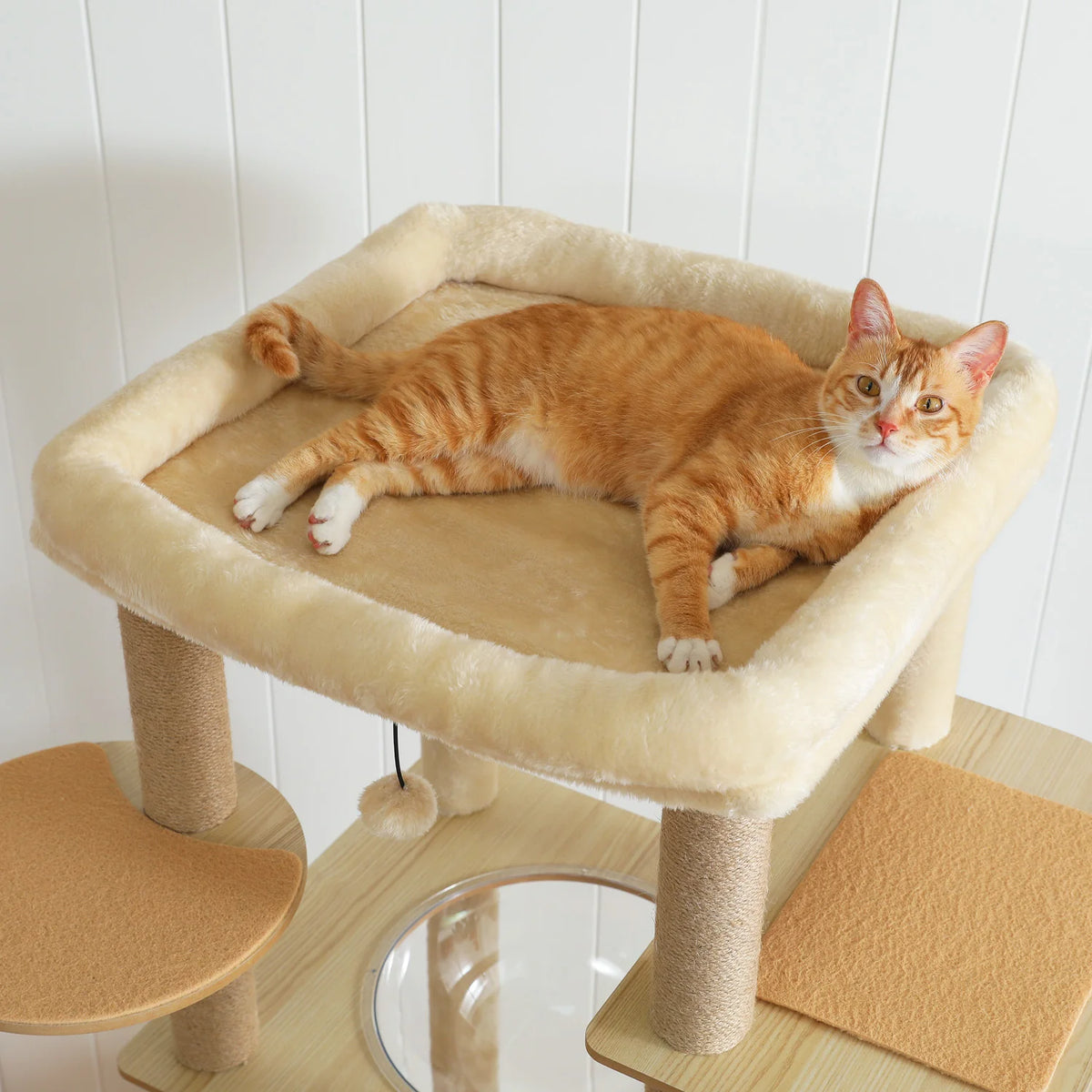 Arbre à Chat Bois XL — Multi-Niveaux | Chêne