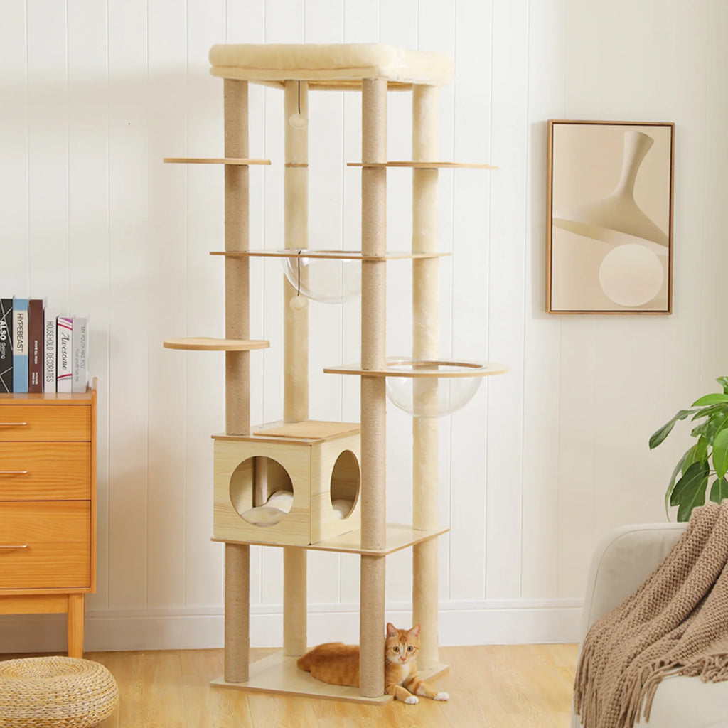 Arbre à Chat Bois XL — Multi-Niveaux | Chêne