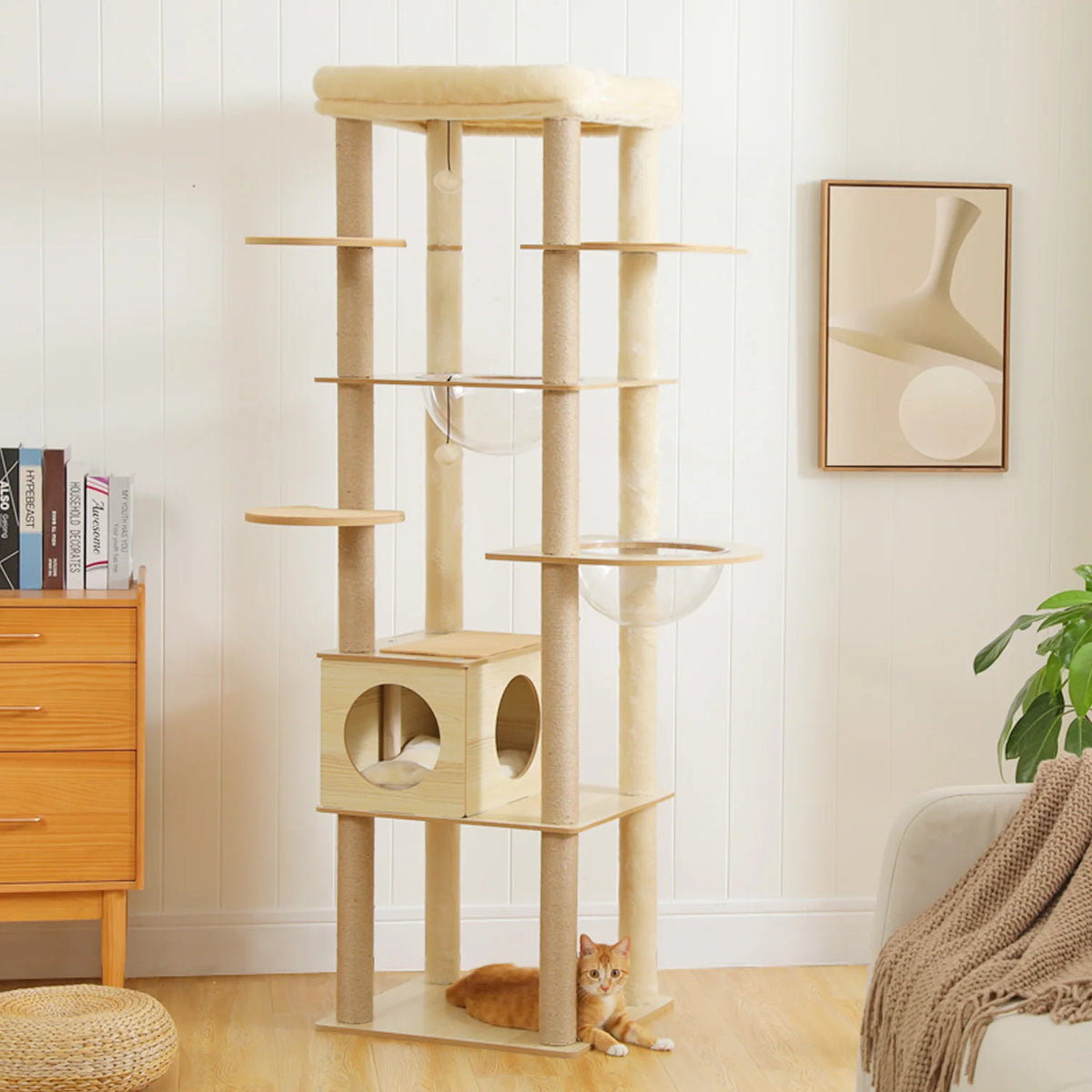 Arbre à Chat Bois XL — Multi-Niveaux | Chêne
