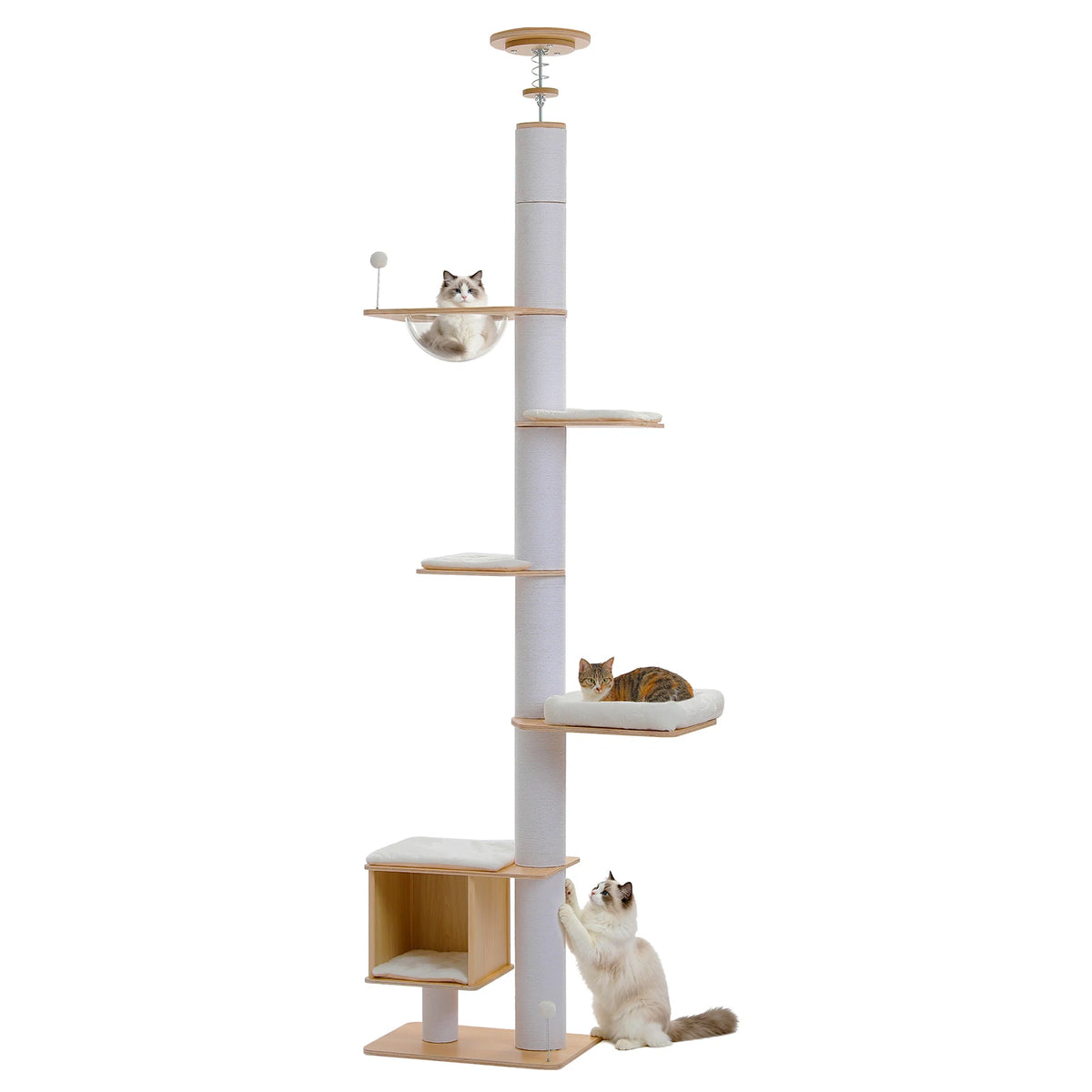 Arbre à Chat Sol-Plafond 232-284 cm — Capsules Acryliques | Skyline