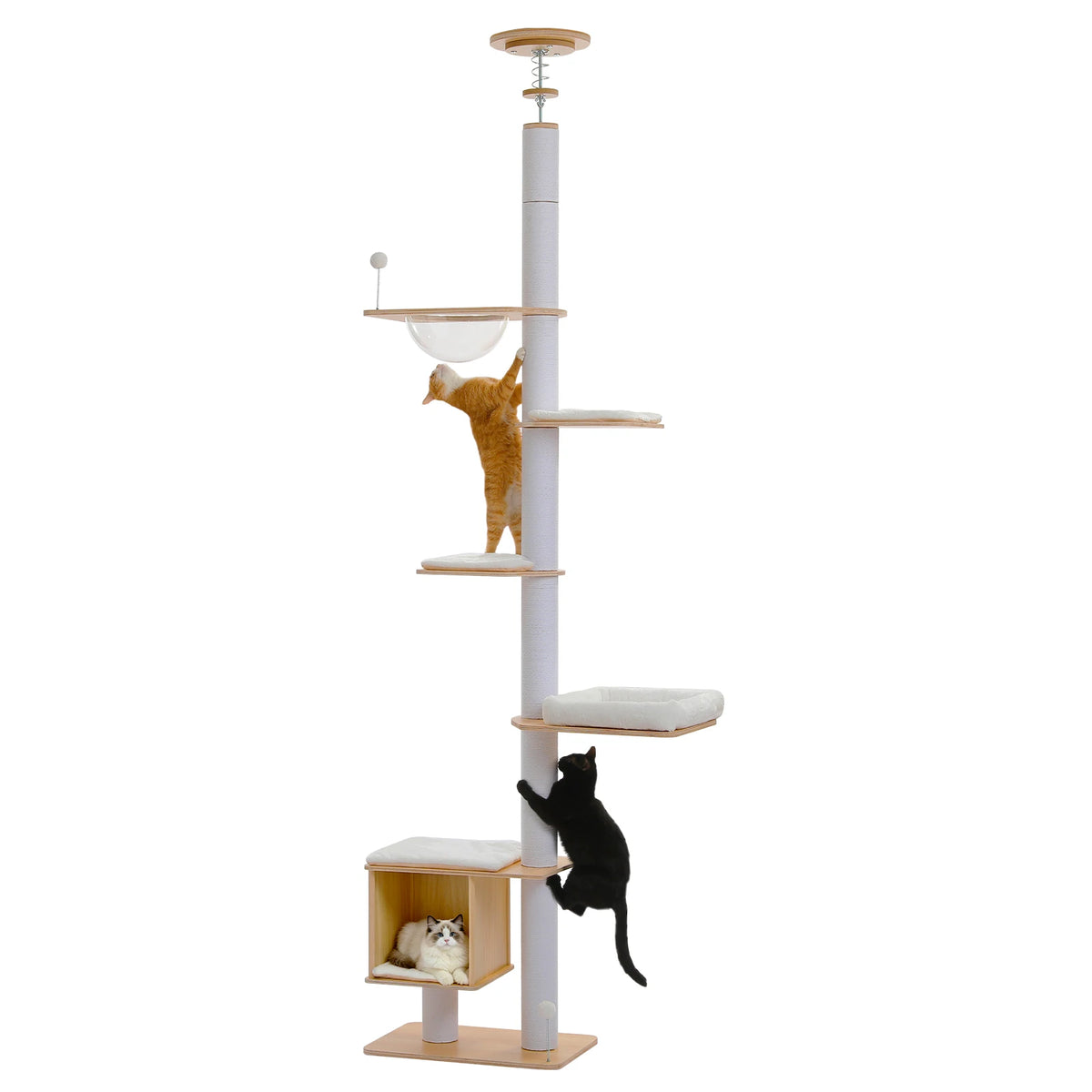 Arbre à Chat Sol-Plafond 232-284 cm — Capsules Acryliques | Skyline