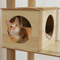 Arbre à Chat Bois XL — Multi-Niveaux | Chêne
