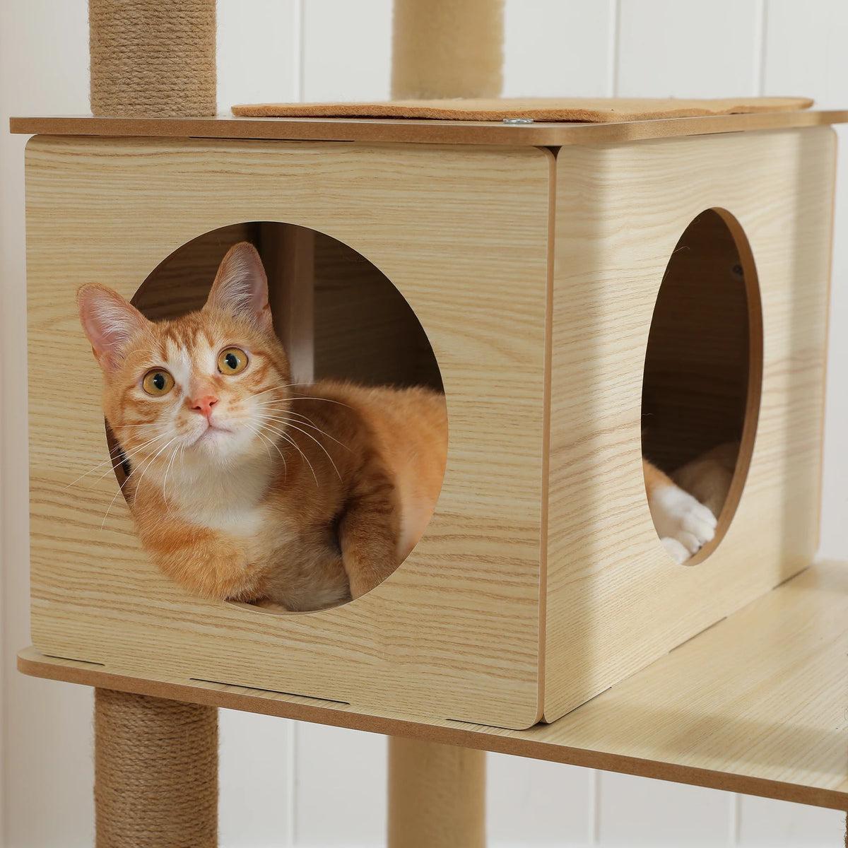 Arbre à Chat Bois XL — Multi-Niveaux | Chêne