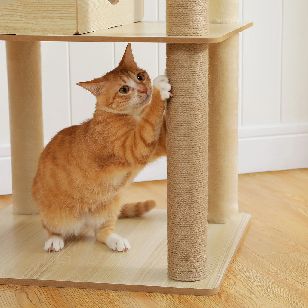 Arbre à Chat Bois XL — Multi-Niveaux | Chêne