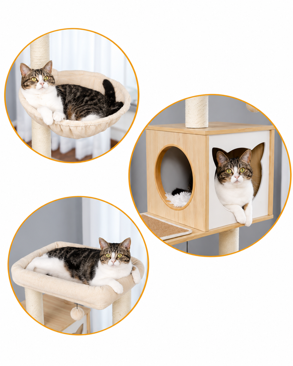Arbre à Chat en Bois — Cache-Litière Intégré | Maison