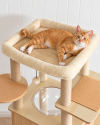 Arbre à Chat Bois XL — Multi-Niveaux | Chêne