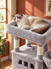 Grand Arbre à Chat 210 cm — 4 Poteaux Chanvre | Cordage