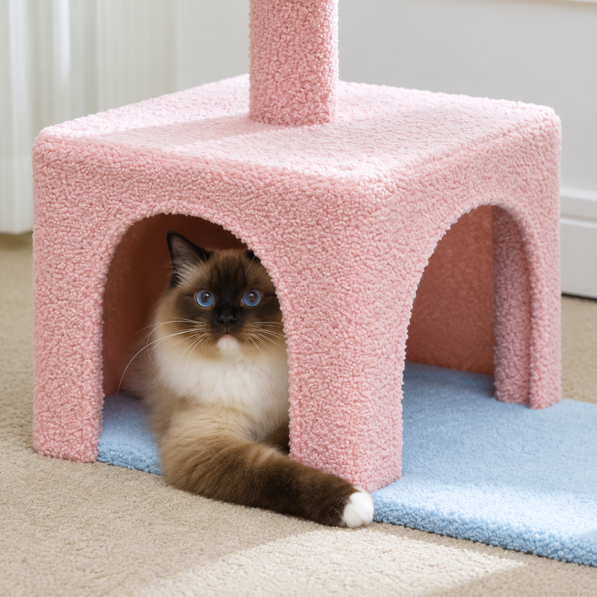 Arbre à Chat 120 cm — Rampe Griffoir | Prairie