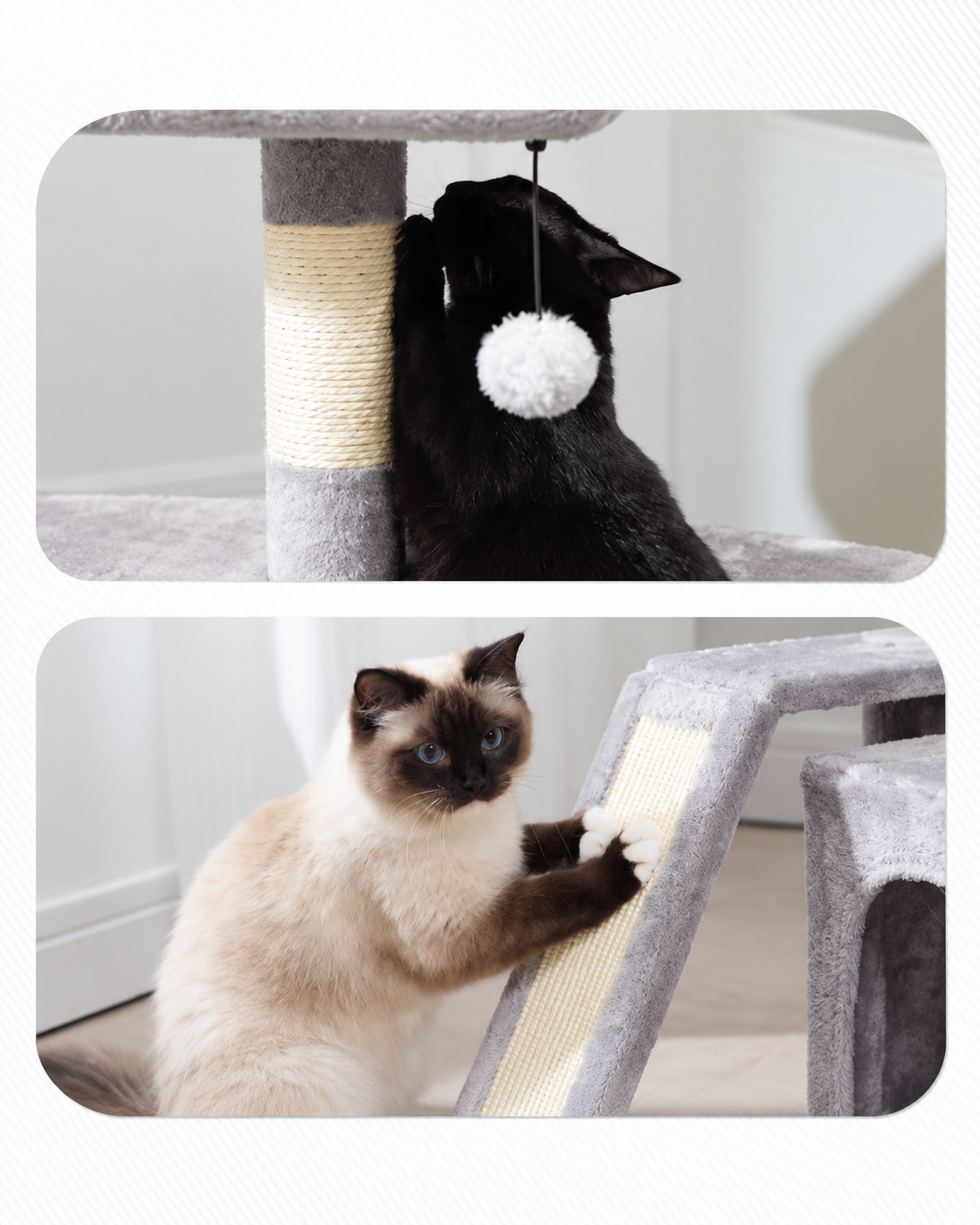 Arbre à Chat 68 cm — Large Plateforme Sisal | Petit Coin