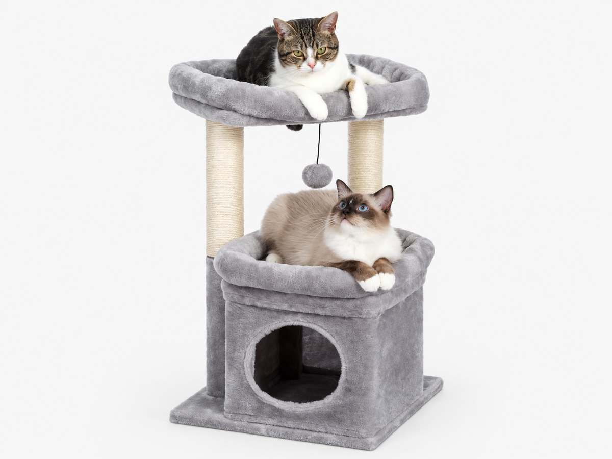 Arbre à Chat Compact 60-72 cm — Niche & Double Perchoir | Petit Coin