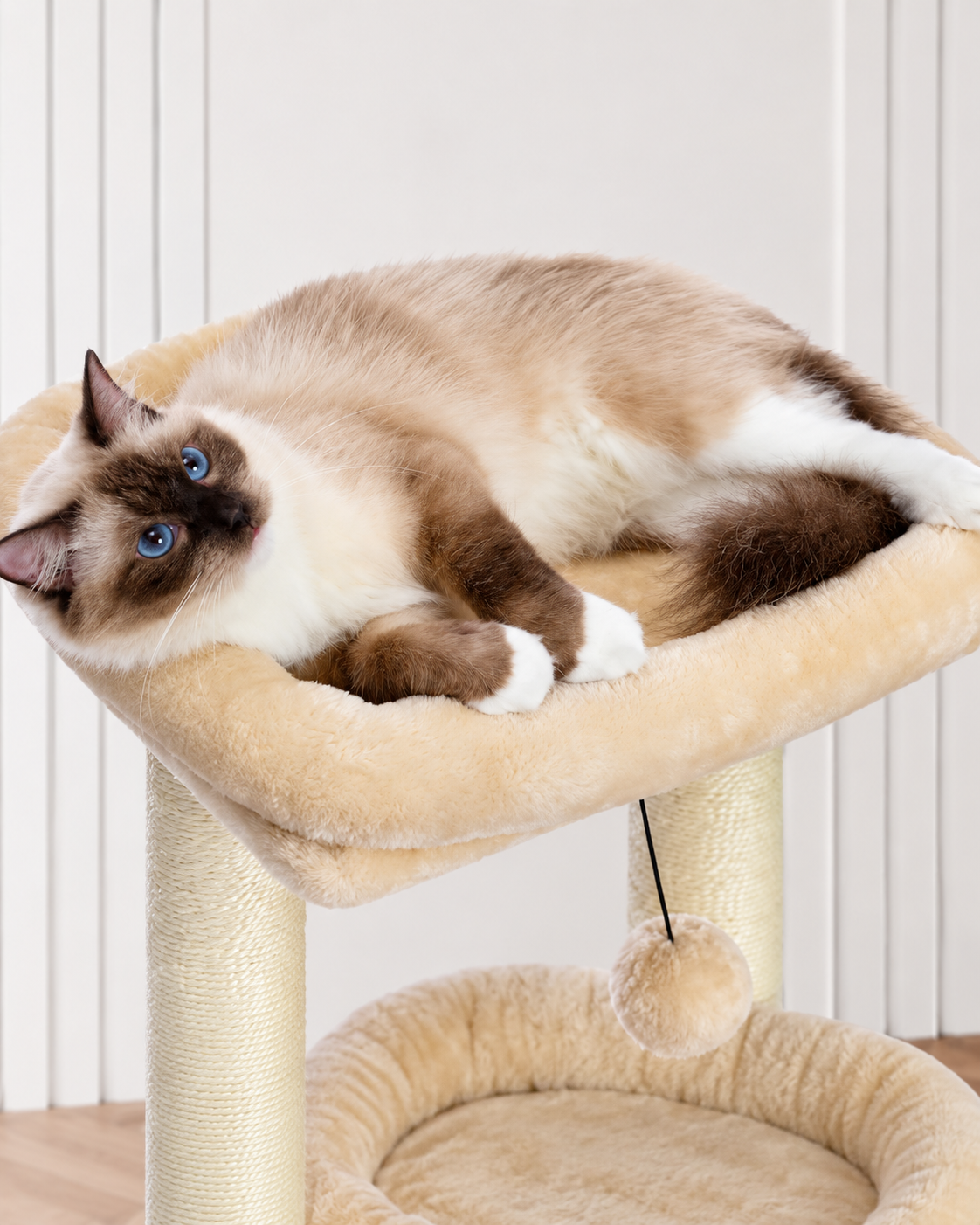 Arbre à Chat Compact 60-72 cm — Niche & Double Perchoir | Petit Coin