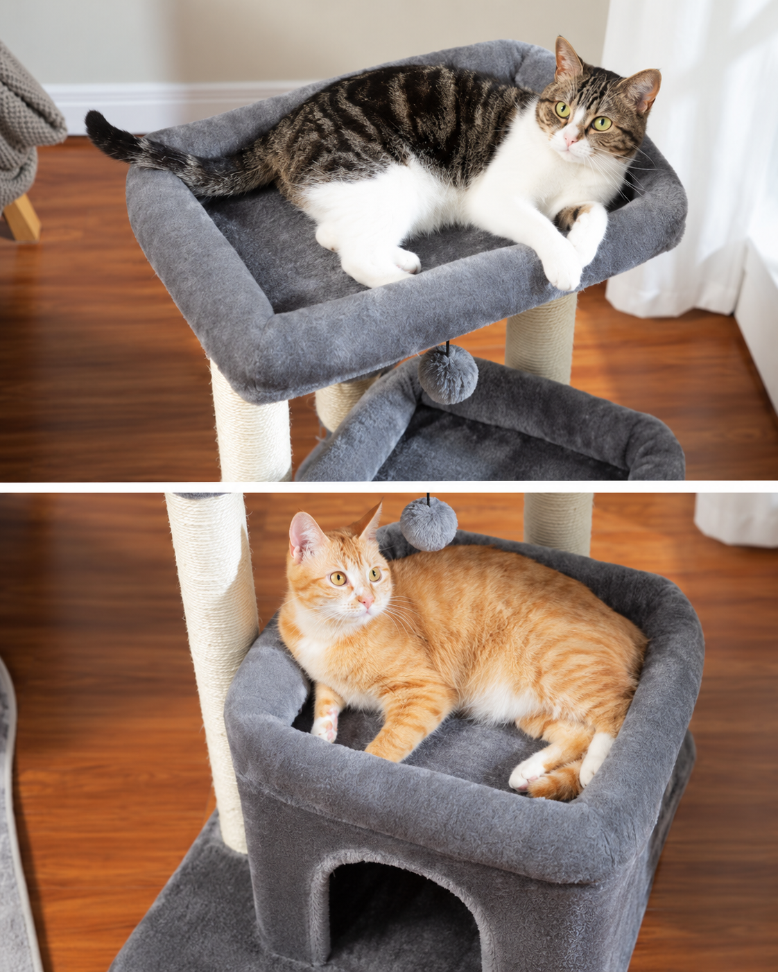 Arbre à Chat Compact 60-72 cm — Niche & Double Perchoir | Petit Coin