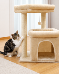 Arbre à Chat Compact 60-72 cm — Niche & Double Perchoir | Petit Coin