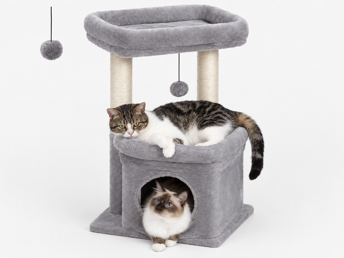 Arbre à Chat Compact 60-72 cm — Niche & Double Perchoir | Petit Coin
