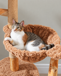 Arbre à Chat Bois & Osier 150 cm — Grand Panier Osier | Osoria