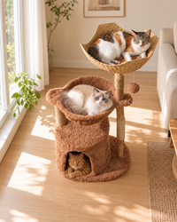 Arbre à Chat Bois & Osier 102 cm — Grand Panier Tressé | Tressage