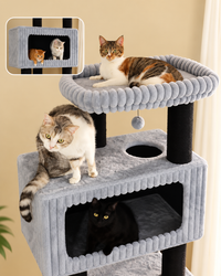 Arbre à Chat Maine Coon 170 cm — 4 Poteaux Sisal | Robusto