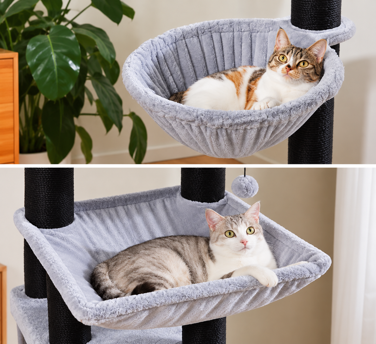 Arbre à Chat Maine Coon 170 cm — 4 Poteaux Sisal | Robusto