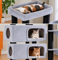 Arbre à Chat Maine Coon 170 cm — 4 Poteaux Sisal | Robusto