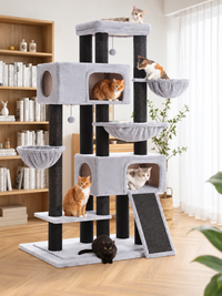Arbre à Chat Maine Coon 170 cm — 4 Poteaux Sisal | Robusto