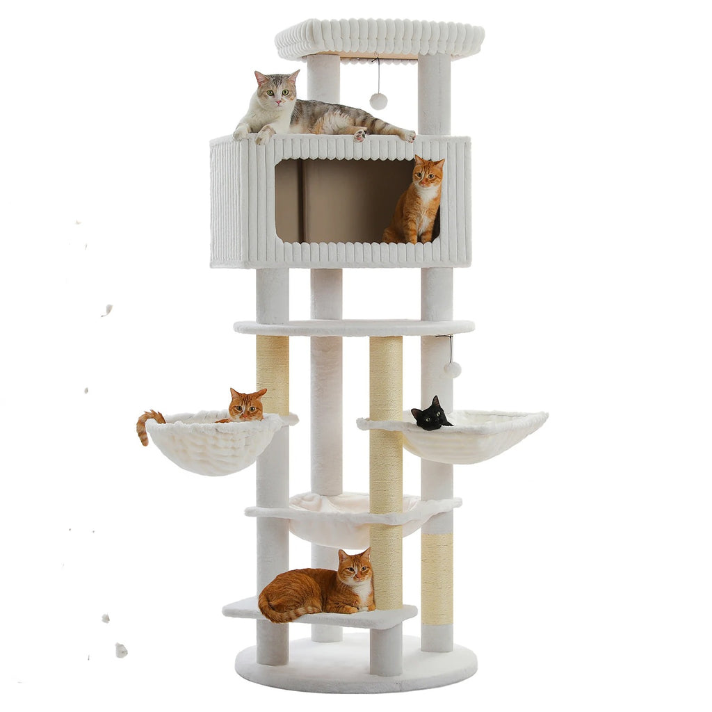Arbre à Chat Maine Coon 170 cm — 4 Poteaux Sisal | Robusto