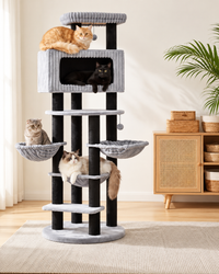 Arbre à Chat Maine Coon 170 cm — 4 Poteaux Sisal | Robusto