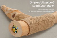 Arbre à Chat Bois & Osier 150 cm — Grand Panier Osier | Osoria