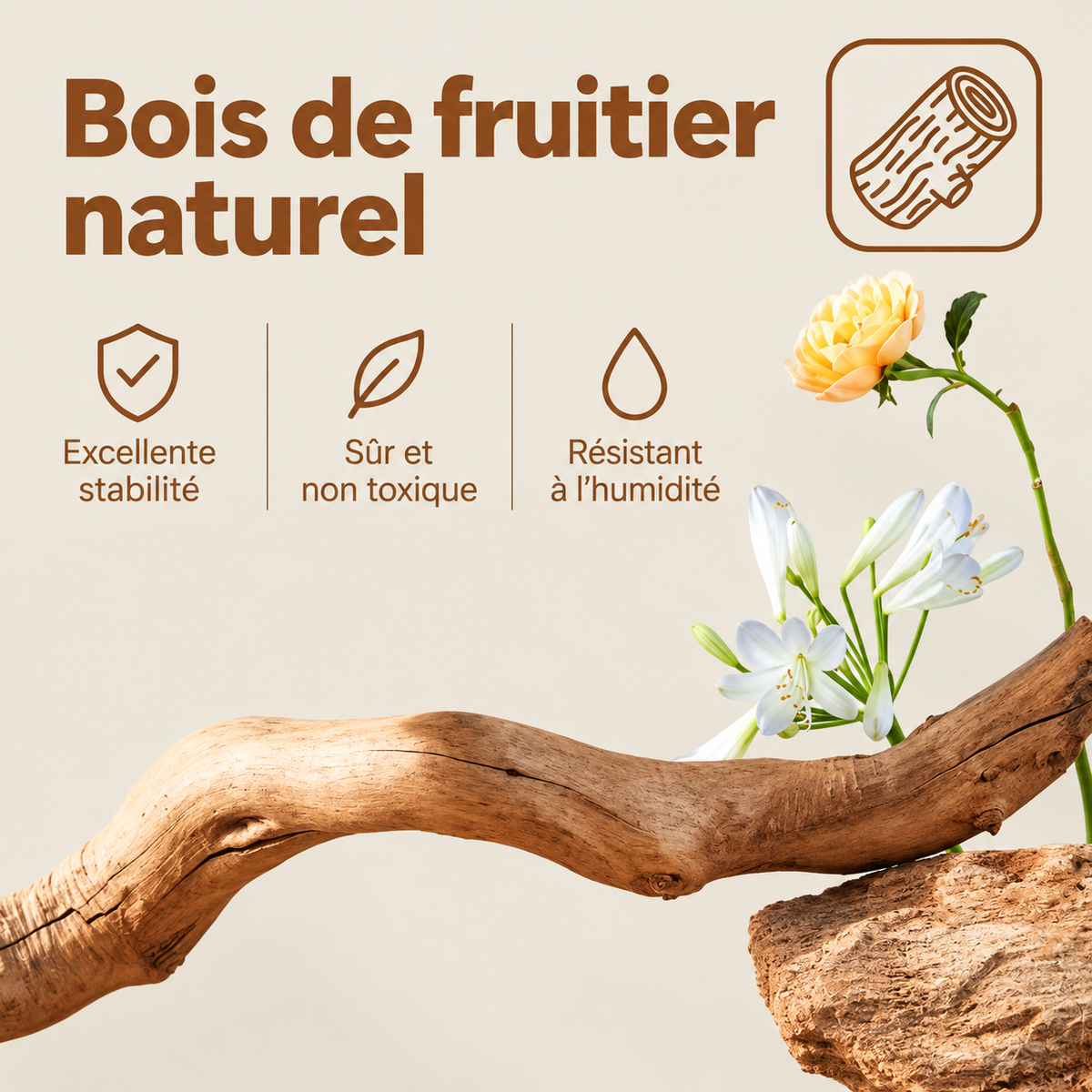 Arbre à Chat Bois & Osier — Grand Panier Tressé | Rotin