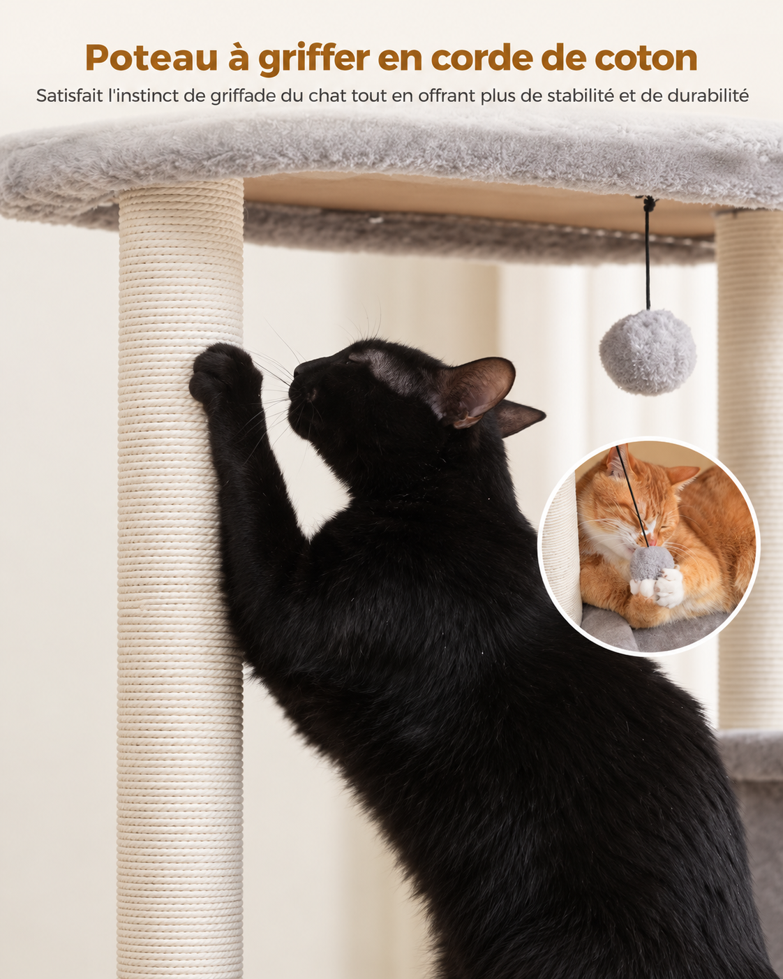 Arbre à Chat 110 cm — Plateformes Larges | Cosy Plus