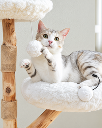 Arbre à Chat Bois 92 cm — 2 Perchoirs Fleur | Pétale