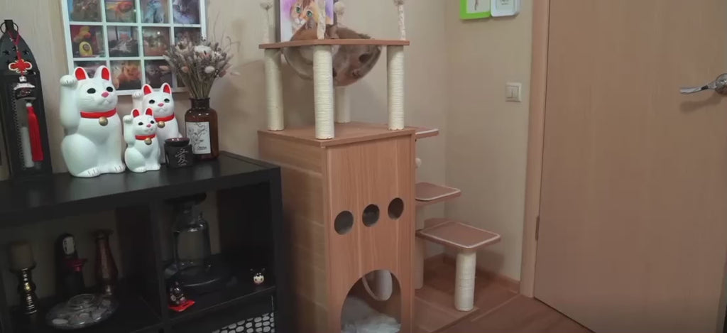 Arbre à Chat Bois Massif — Grand Chat, 5 Niveaux | Noyer